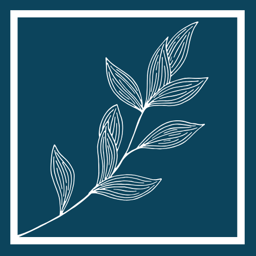 Vine Street Capital Logo